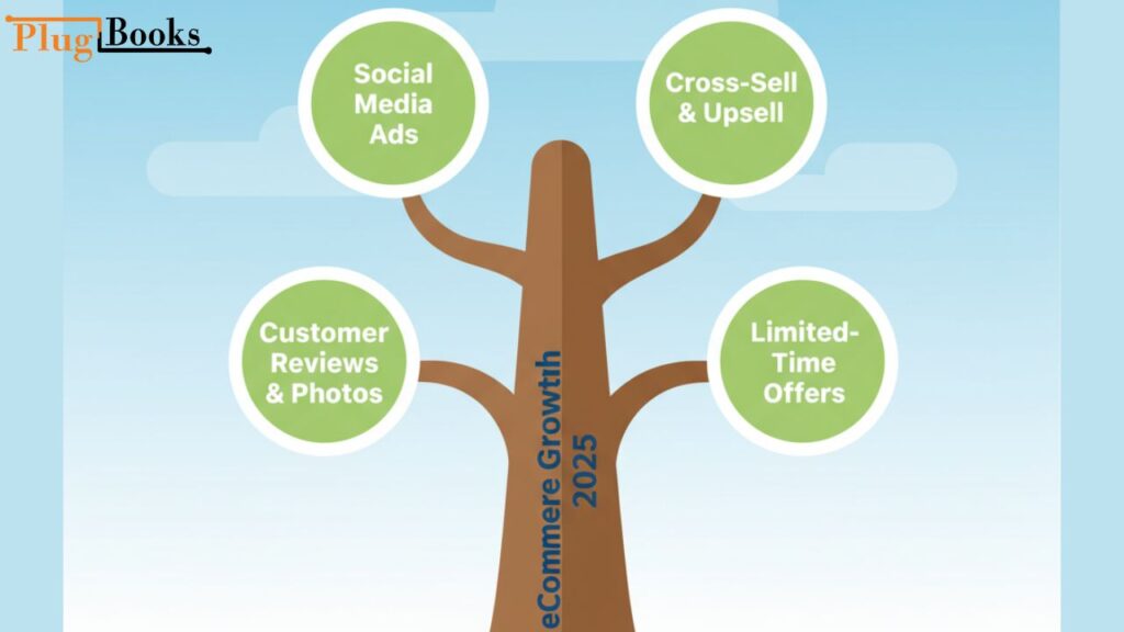 sgopify-templates-to-sell-seo.jpg